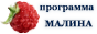 программа МАЛИНА автоматизация учета